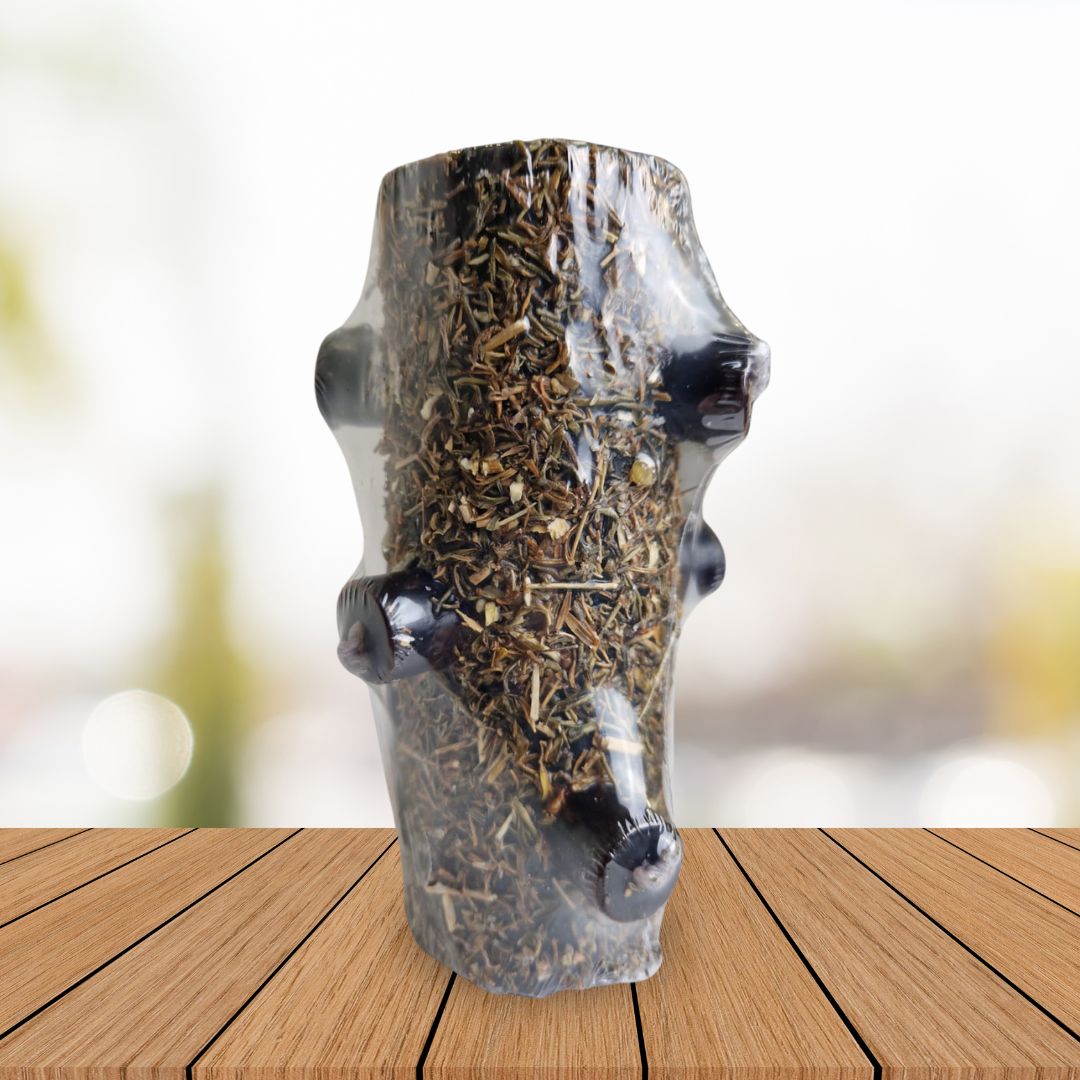 Velão Limpeza e Proteção com Arruda