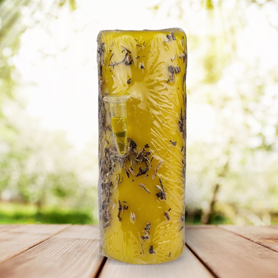 Velão para Sucesso nos Estudos