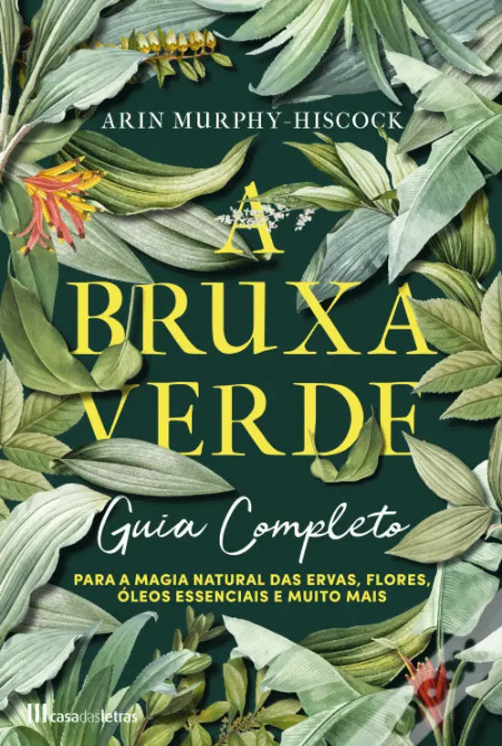 Livro A Bruxa Verde